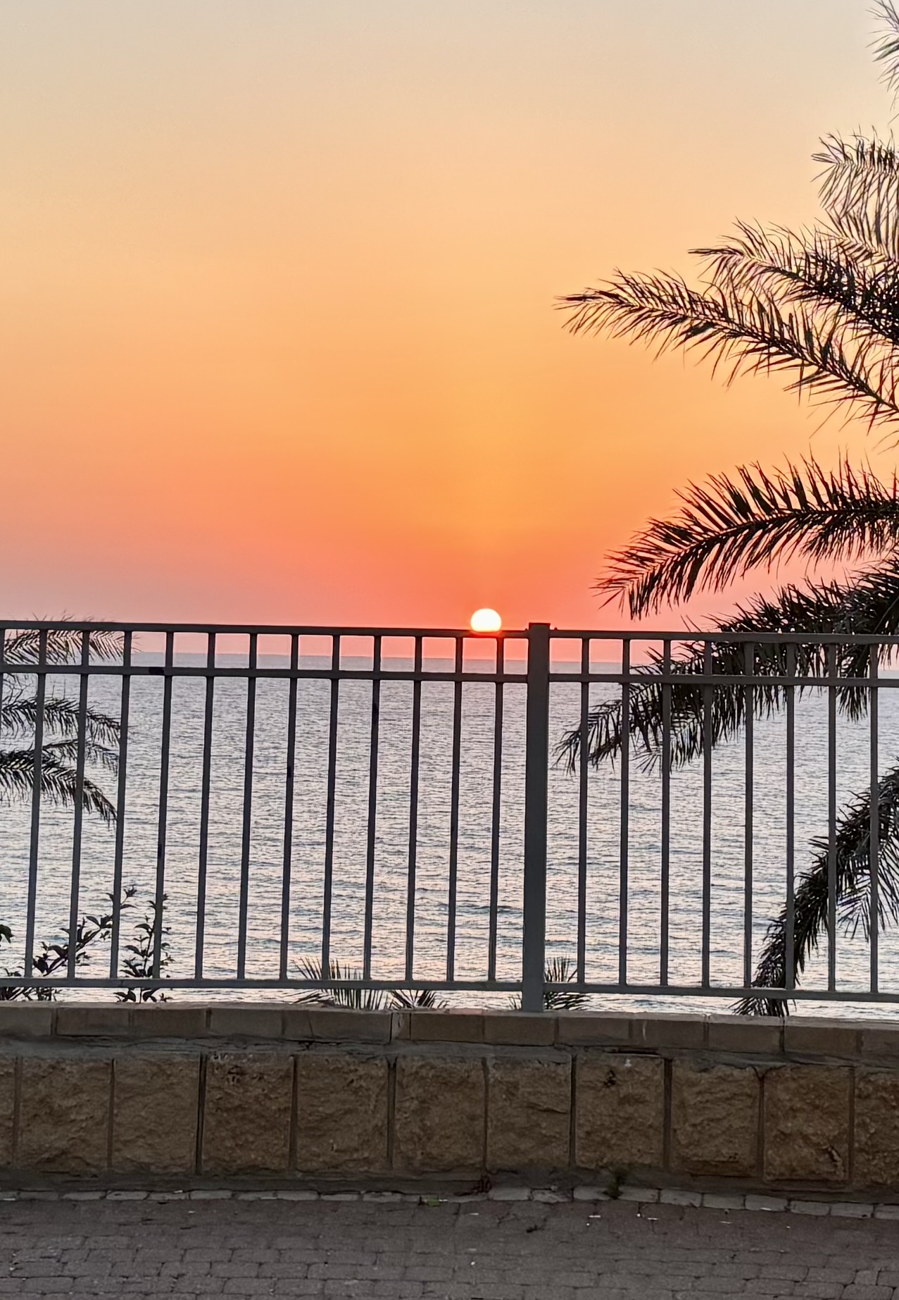 Visiting Nili and Lyle Sudin on a beautiful summer evening in Netanya