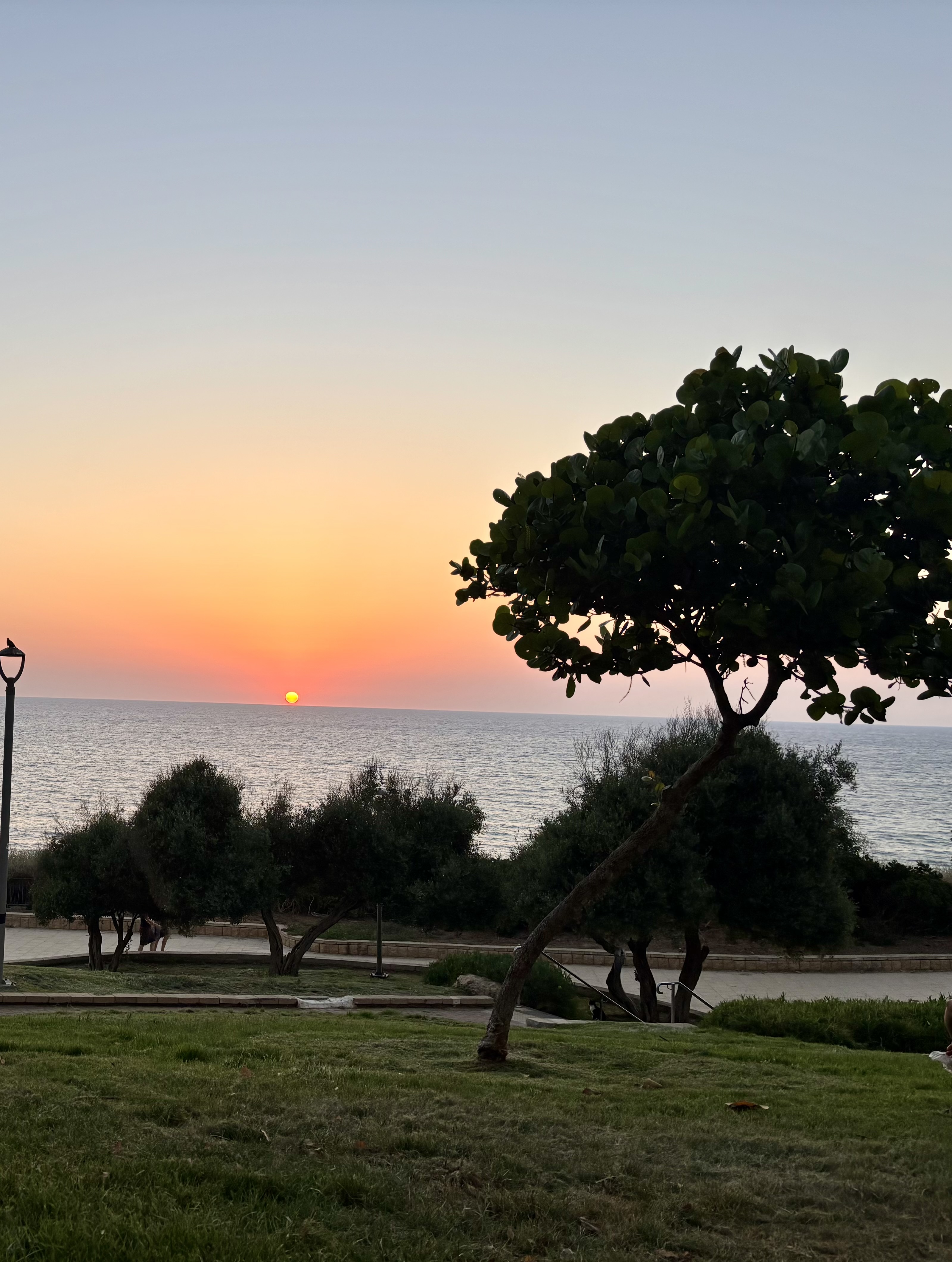 Visiting Nili and Lyle Sudin on a beautiful summer evening in Netanya