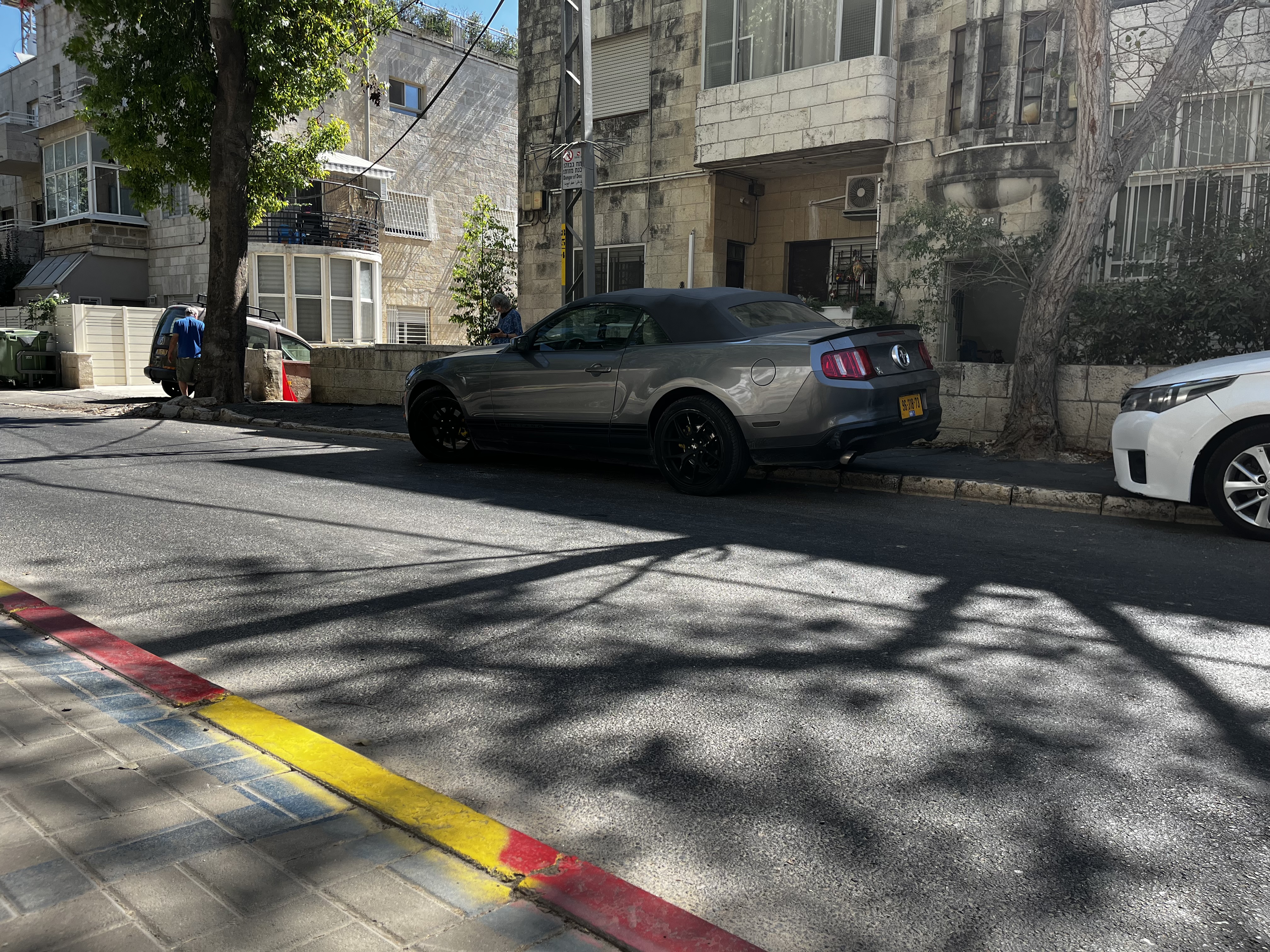 Mustang spotted