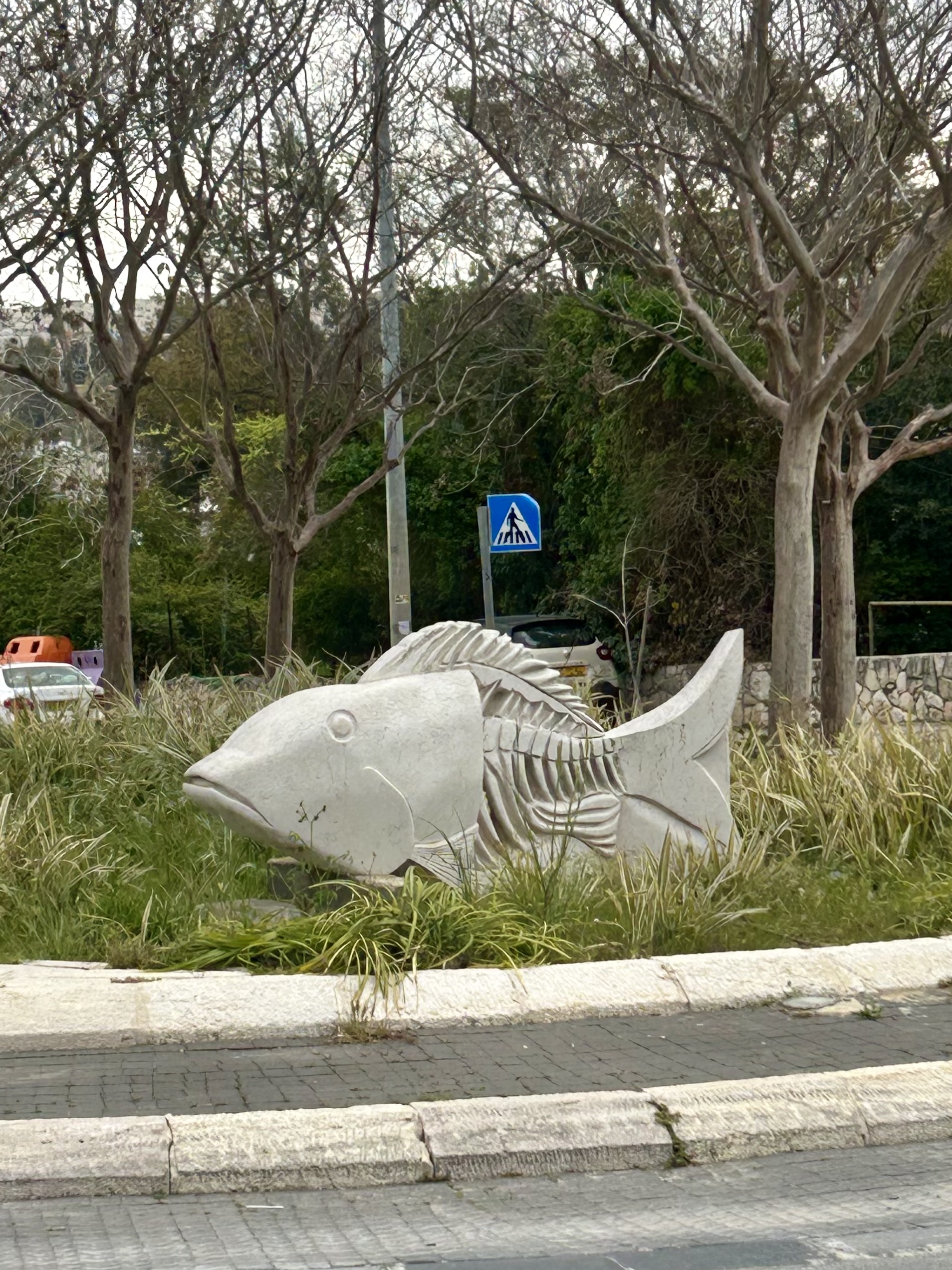 A fish on Ben Zakkai