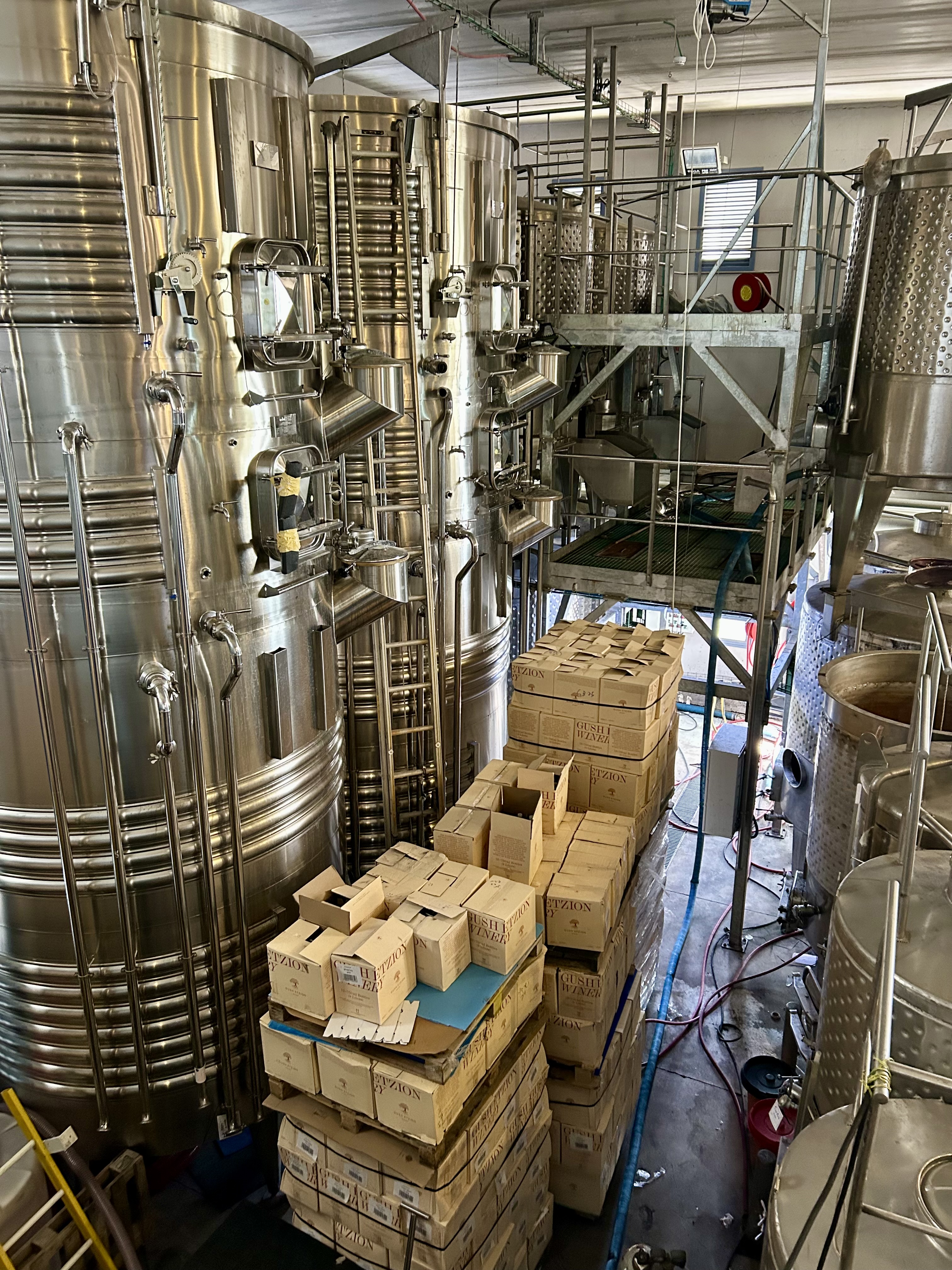 A beautiful February morning for a winery tour and brunch in Gush Etzion