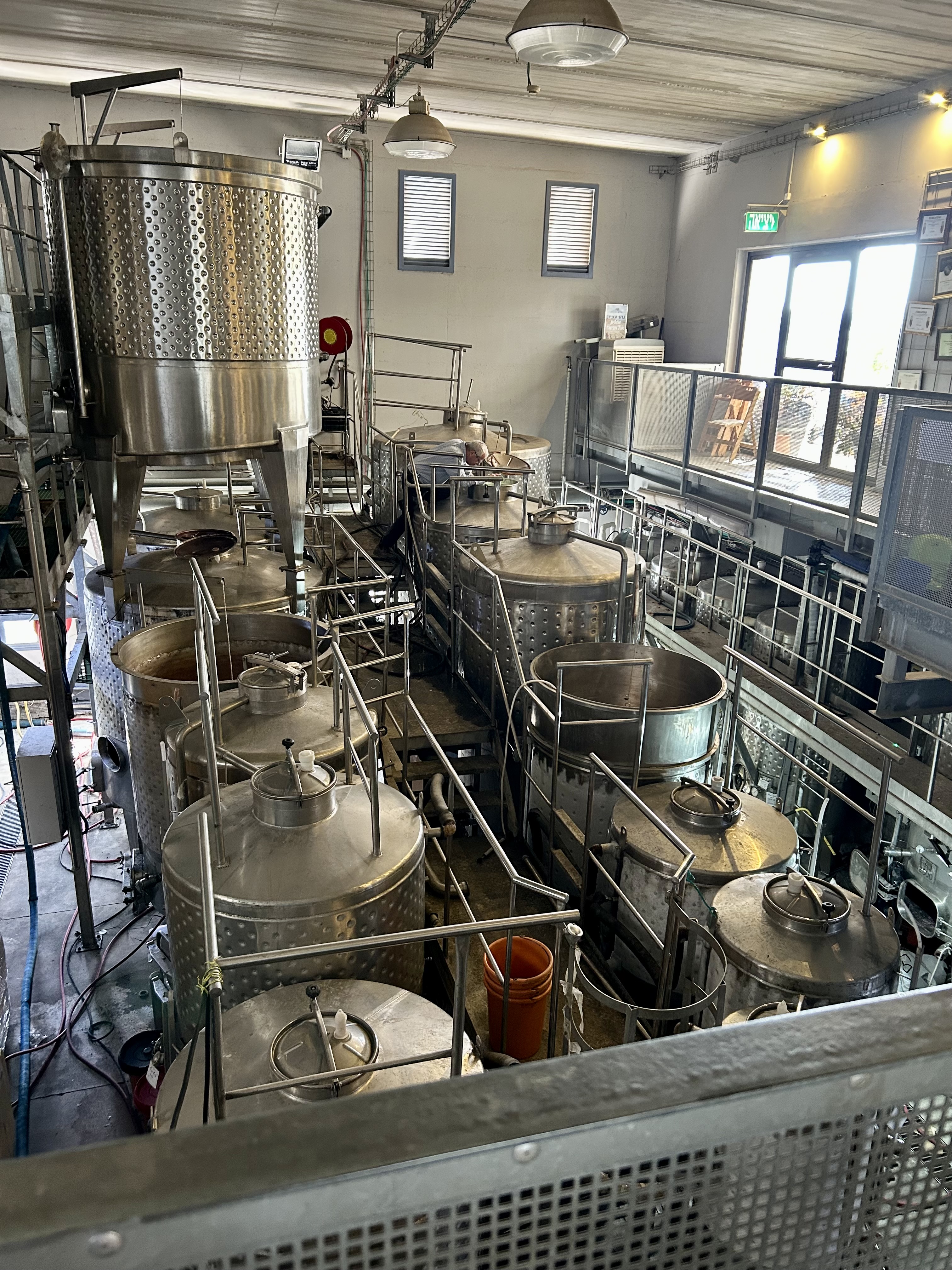 A beautiful February morning for a winery tour and brunch in Gush Etzion